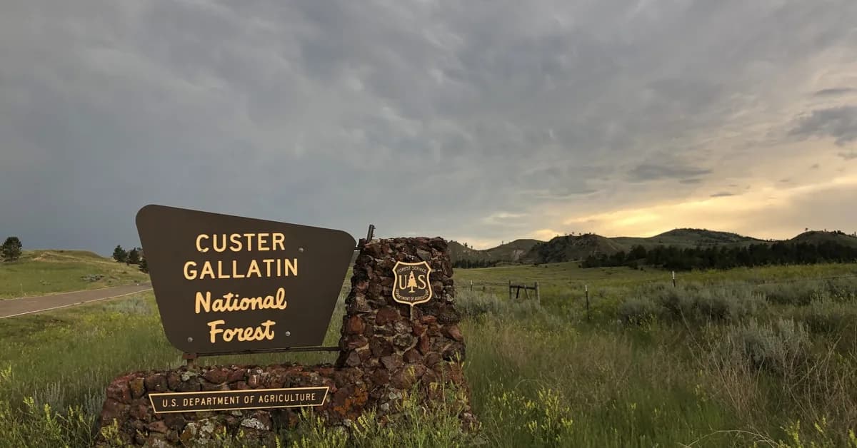 Forest Service overhaul sows confusion and concern