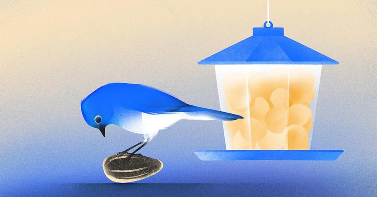 Seed Funding Hasn't Stalled, But It's Skewing Larger And Is More Competitive Than Ever, Crunchbase Data Shows