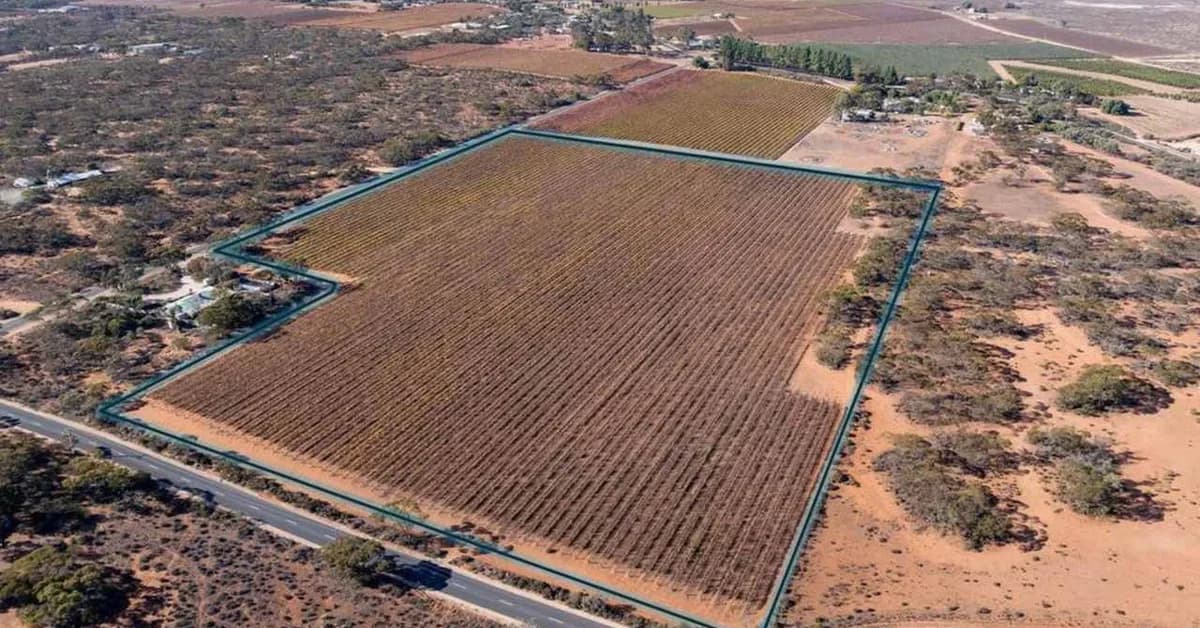 Riverland property: Why experts say it's a steal right now