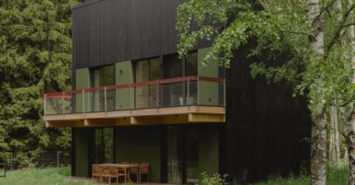 Kuba Woźniczka nestles black-timber holiday cabins in Polish woodland