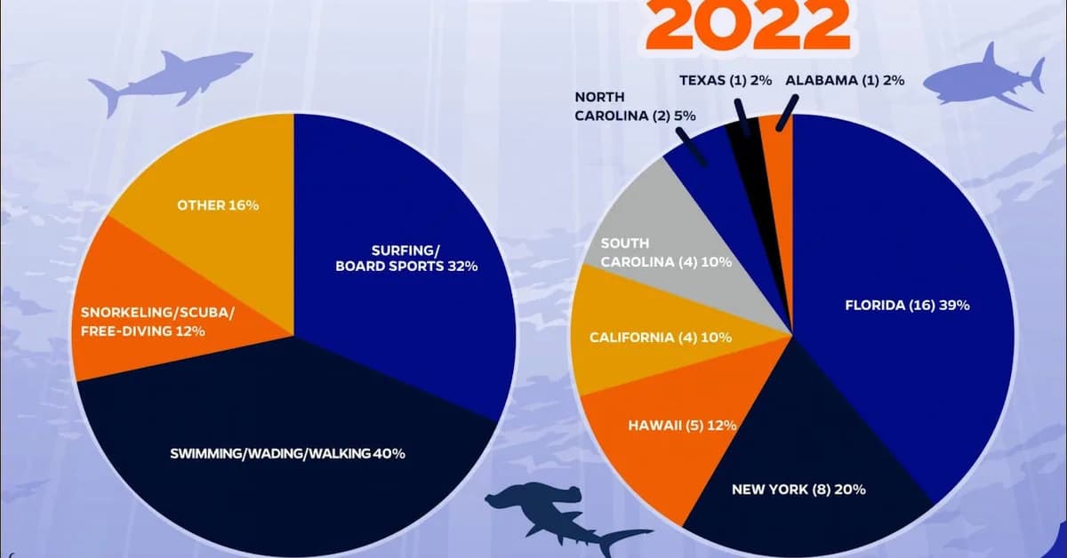 The scramble for 6G and the gentle shark bite of commercial realities