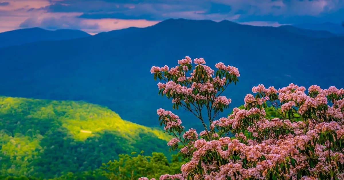 9 underrated spring travel destinations for 2026