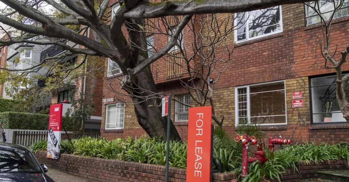 Labor's negative gearing reforms to cost some Sydney tenants an extra $24,700 a year
