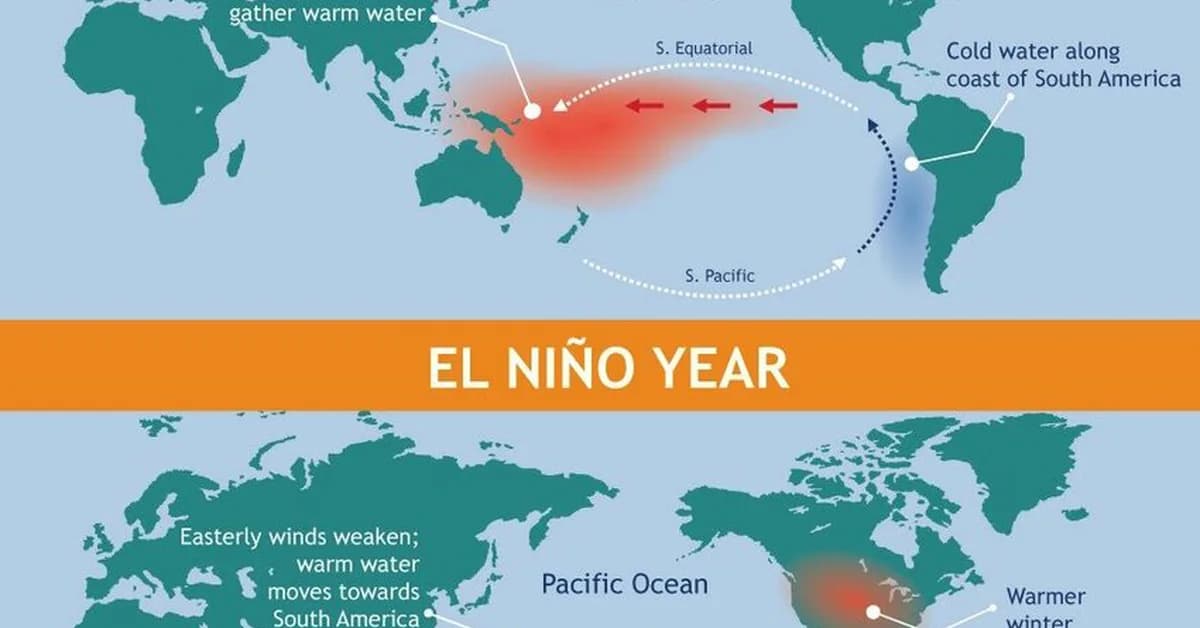 El Nino is back, but its effects vary widely