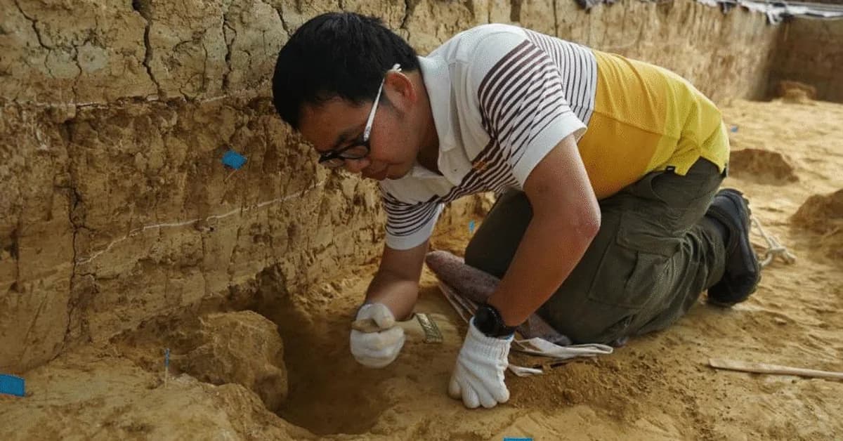 "Million-year-old" fossil skulls from China are far older'and not Denisovans
