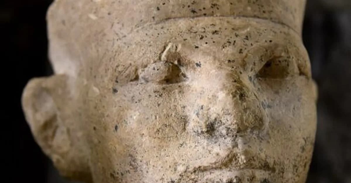 New forensic evidence supports Egyptian "retainer sacrifice"