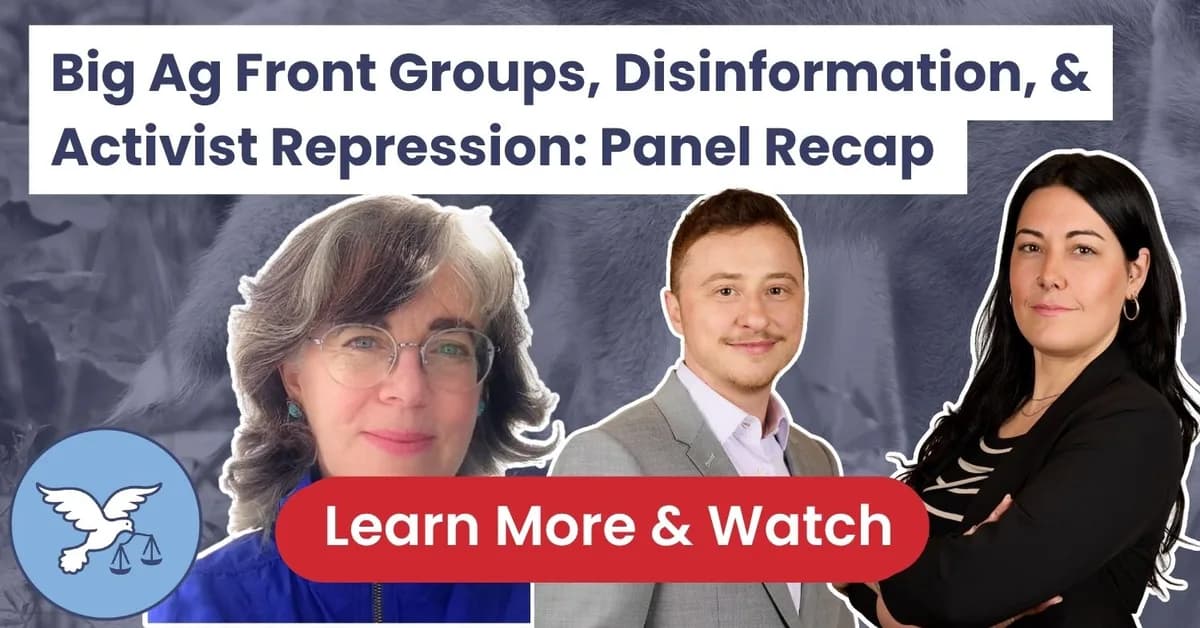 Big Ag Front Groups, Disinformation, & Activist Repression | Panel Recap