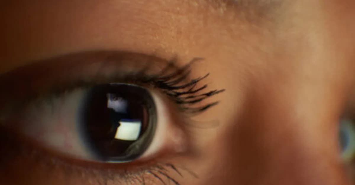 Why are vertebrate eyes so different from those of other animals?