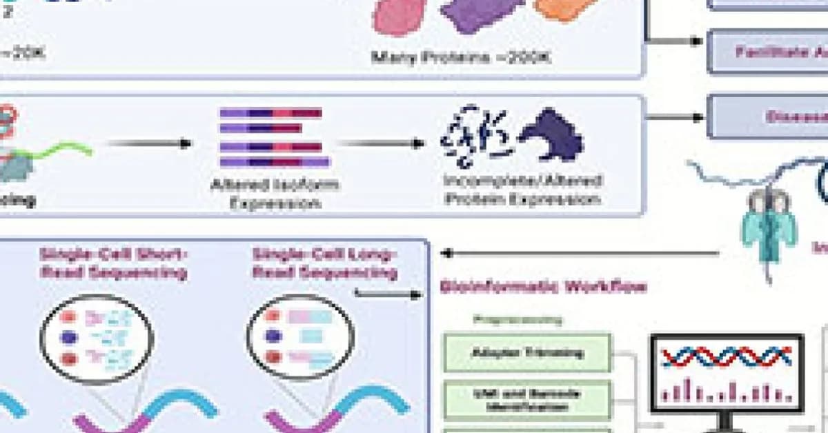 De-Risking RNA Therapeutics with High-Resolution Sequencing