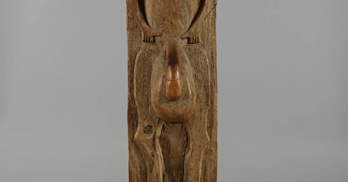 Support-Contra Asymmetry in LLM Explanations