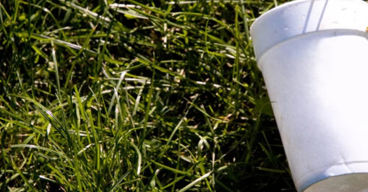 Your empty cuppa could capture carbon