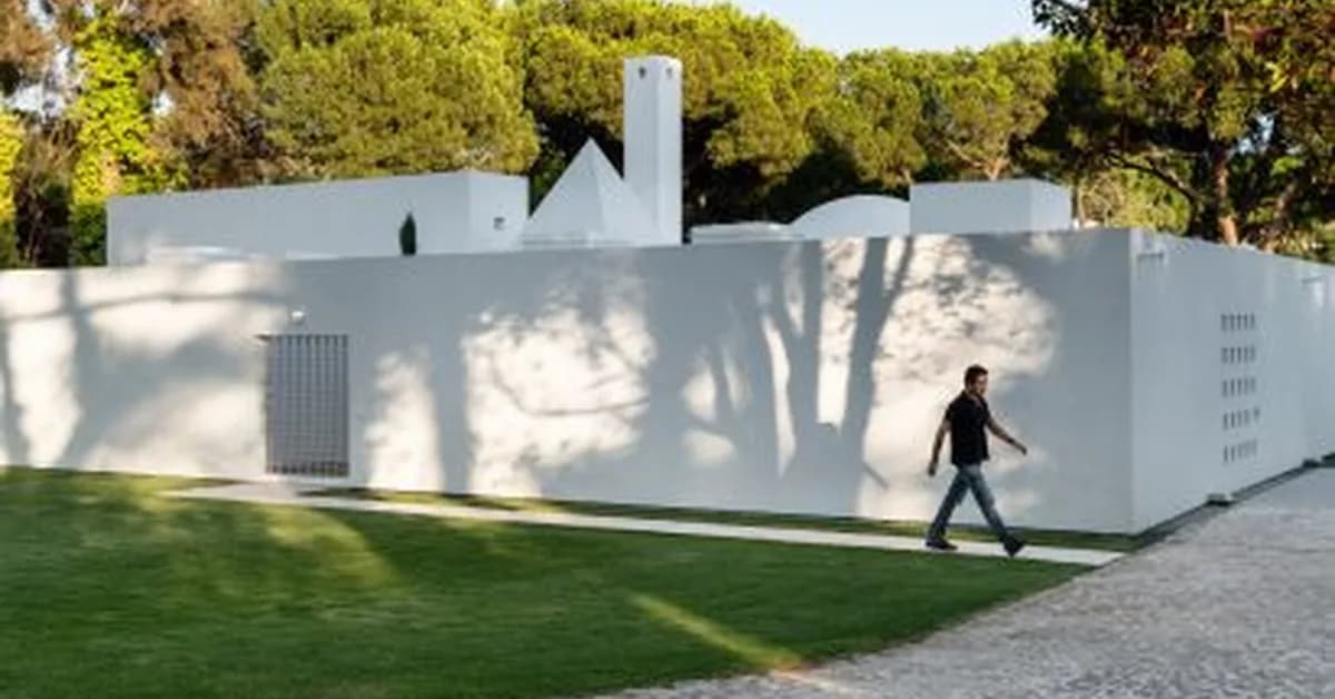 Becoming an architect "just happened" says Eduardo Souto de Moura
