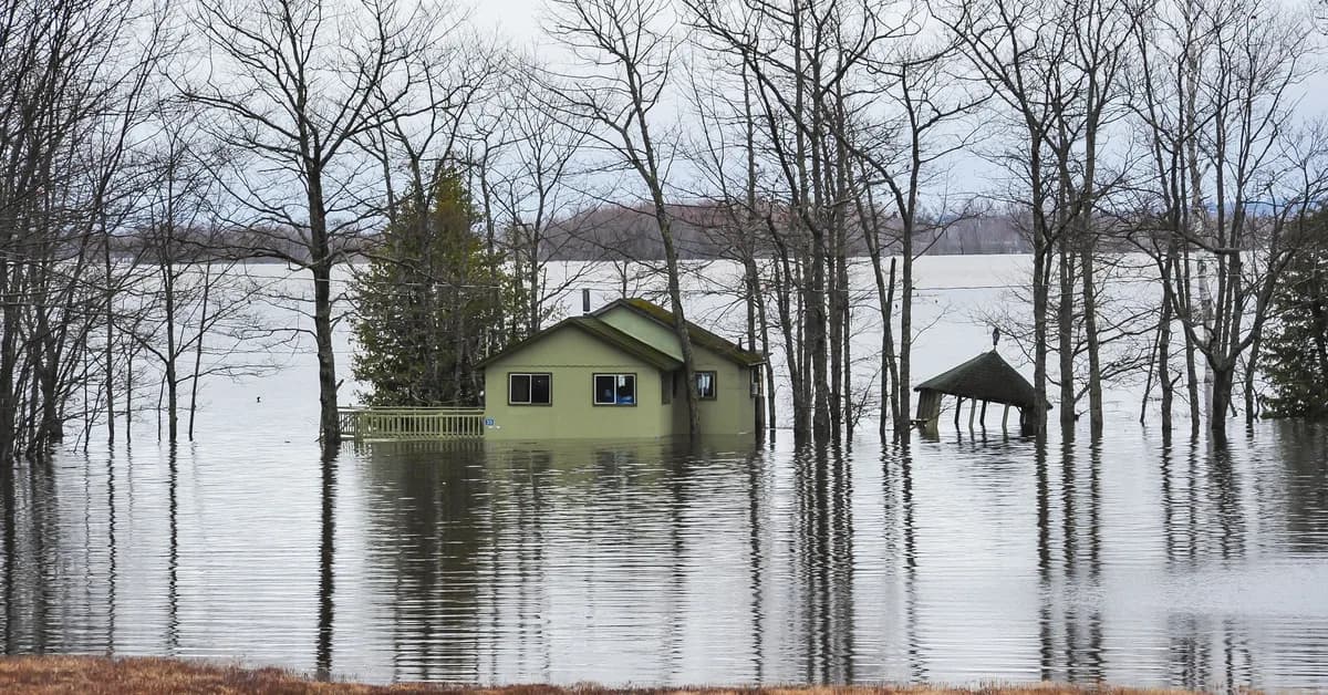 Over 40% of Homeowners Haven't Reviewed Their Insurance Policy in a Year-but Is Now the Right Time To Audit?