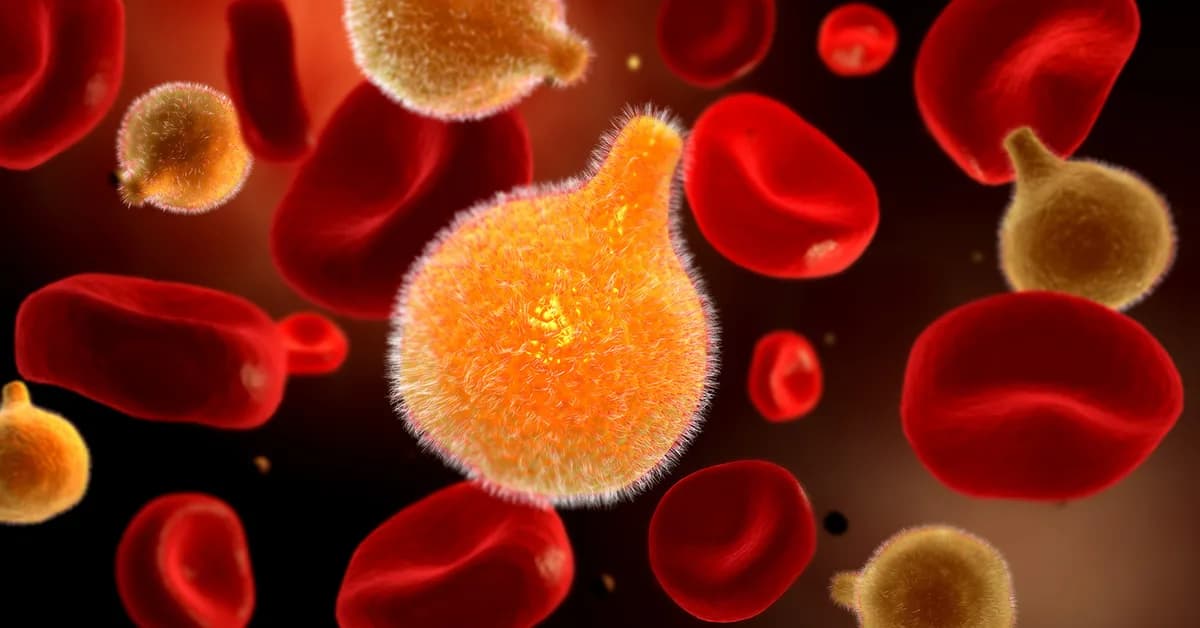 Malaria-Causing Plasmodium in Uganda Show Rapid Spread of Drug Resistance Mutations