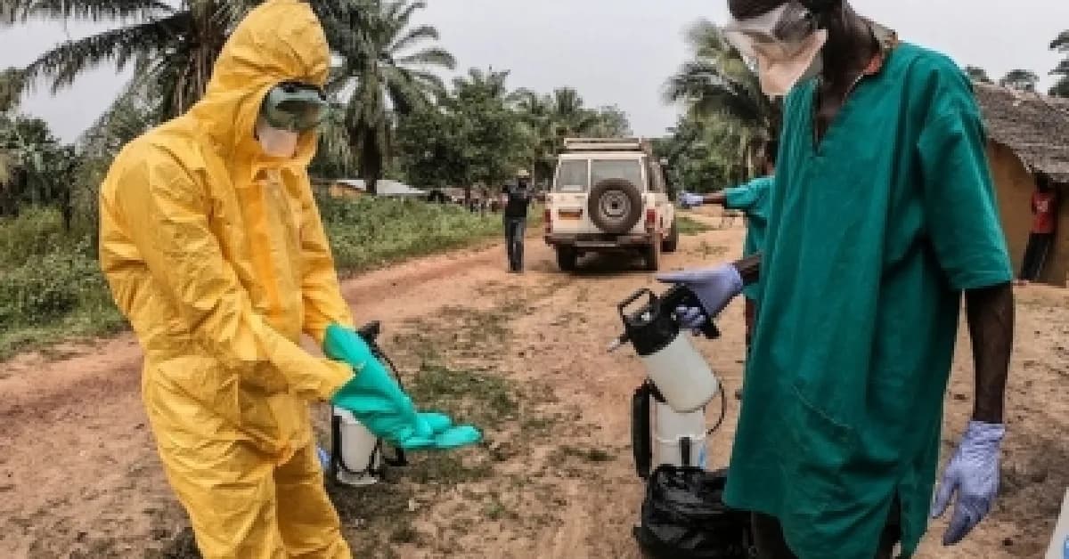 DR Congo Ebola risk high regionally, low worldwide: WHO