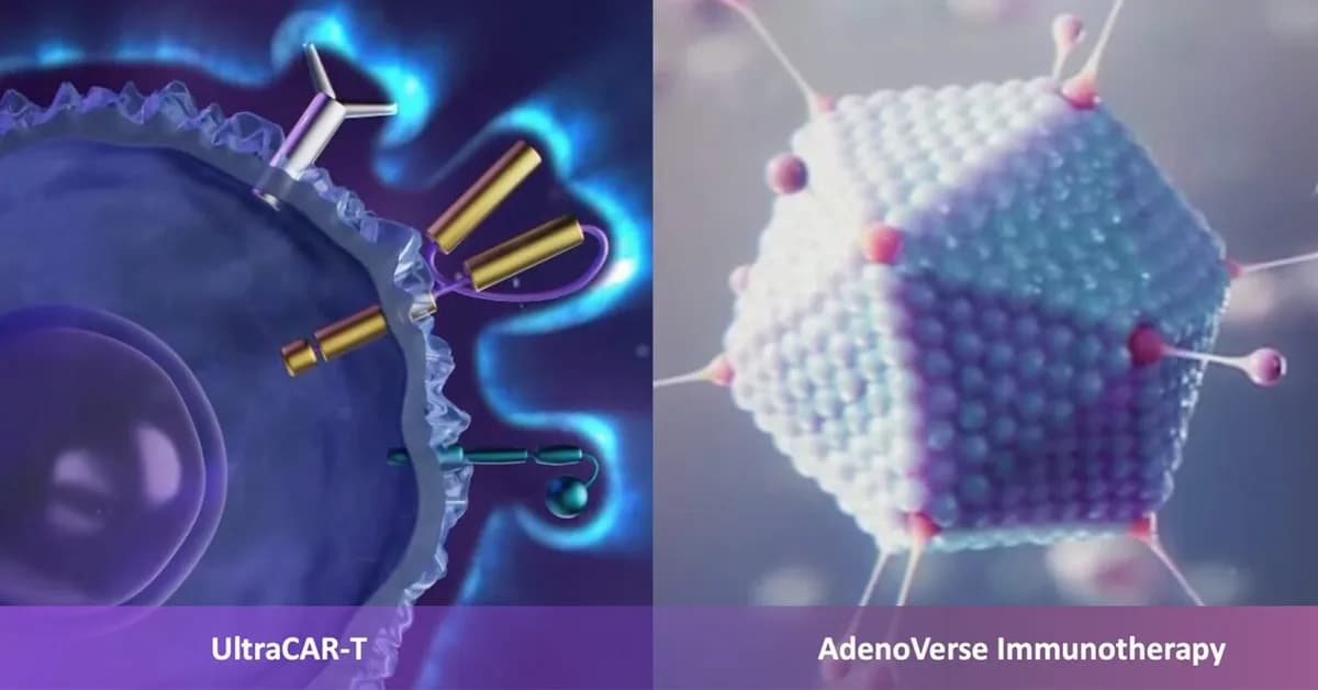 Gorilla Adenovirus Brings Natural Edge to Cancer Therapy
