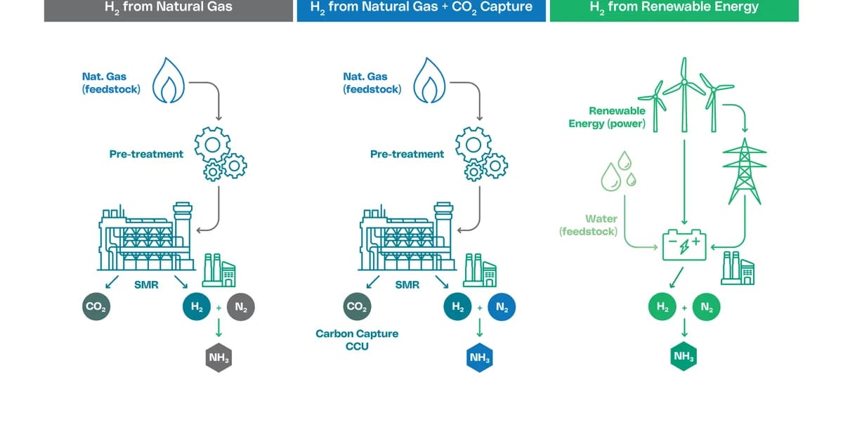 Grey, Blue, or Green: The Real Ammonia Math