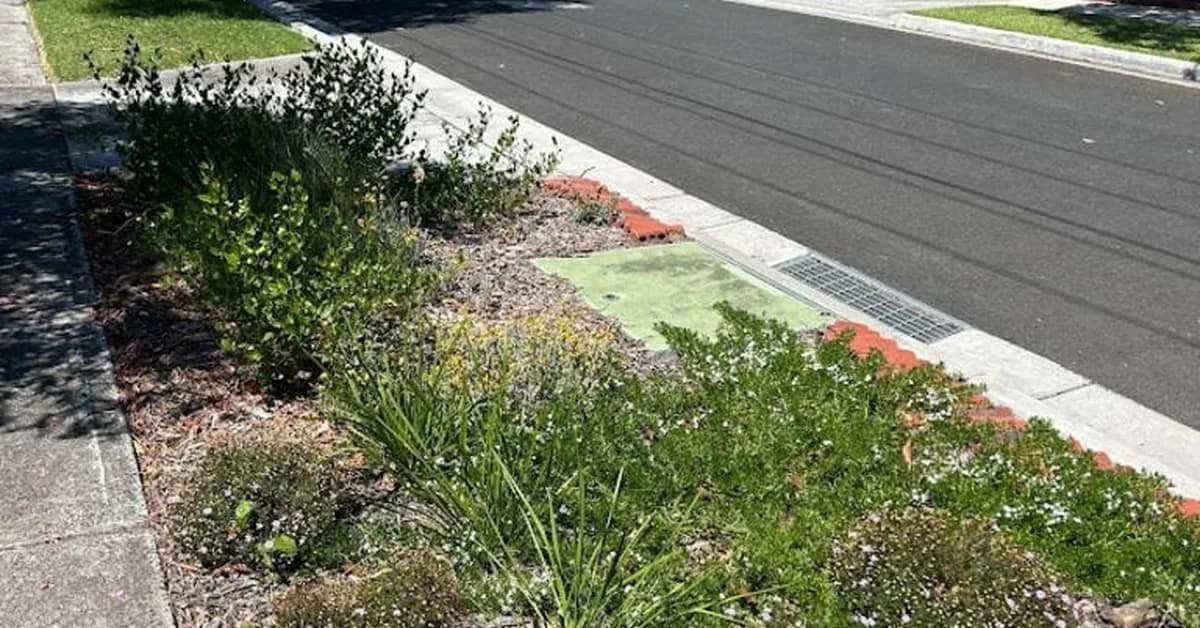 Owner forced to rip out $800 lawn by council