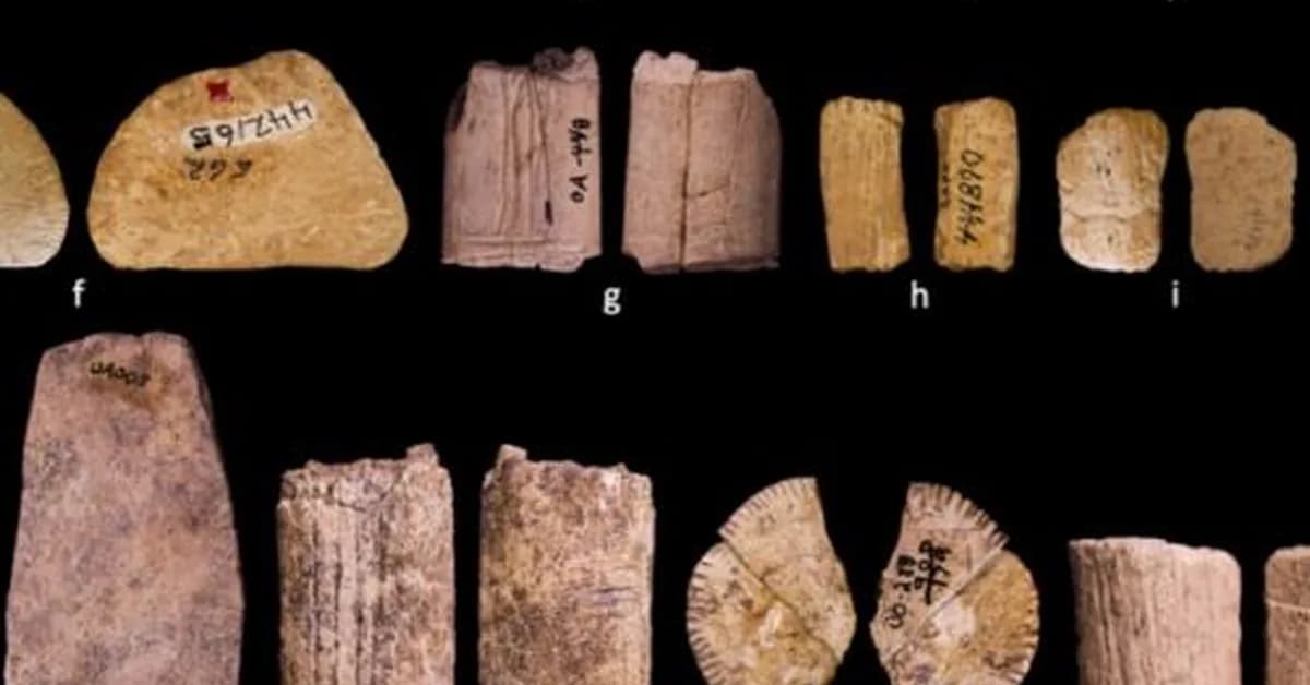 Ice Age dice show early Native Americans may have understood probability