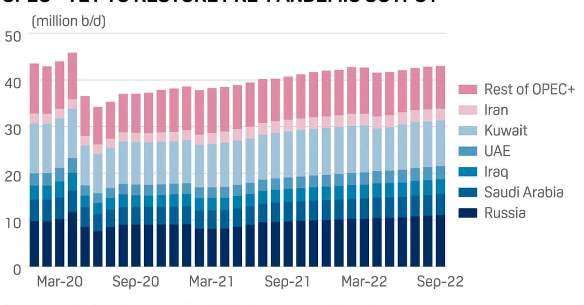 OPEC+ hikes oil production quotas, issues warning