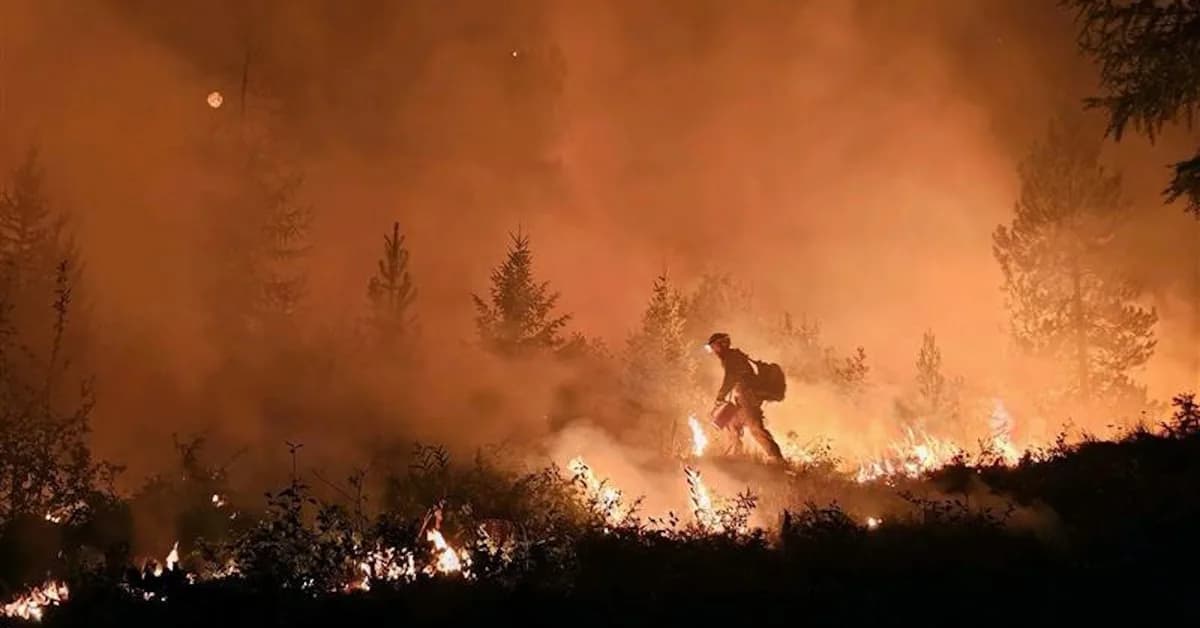Firefighters sound alarm as US faces critical staffing shortage: 'We don't have enough people'