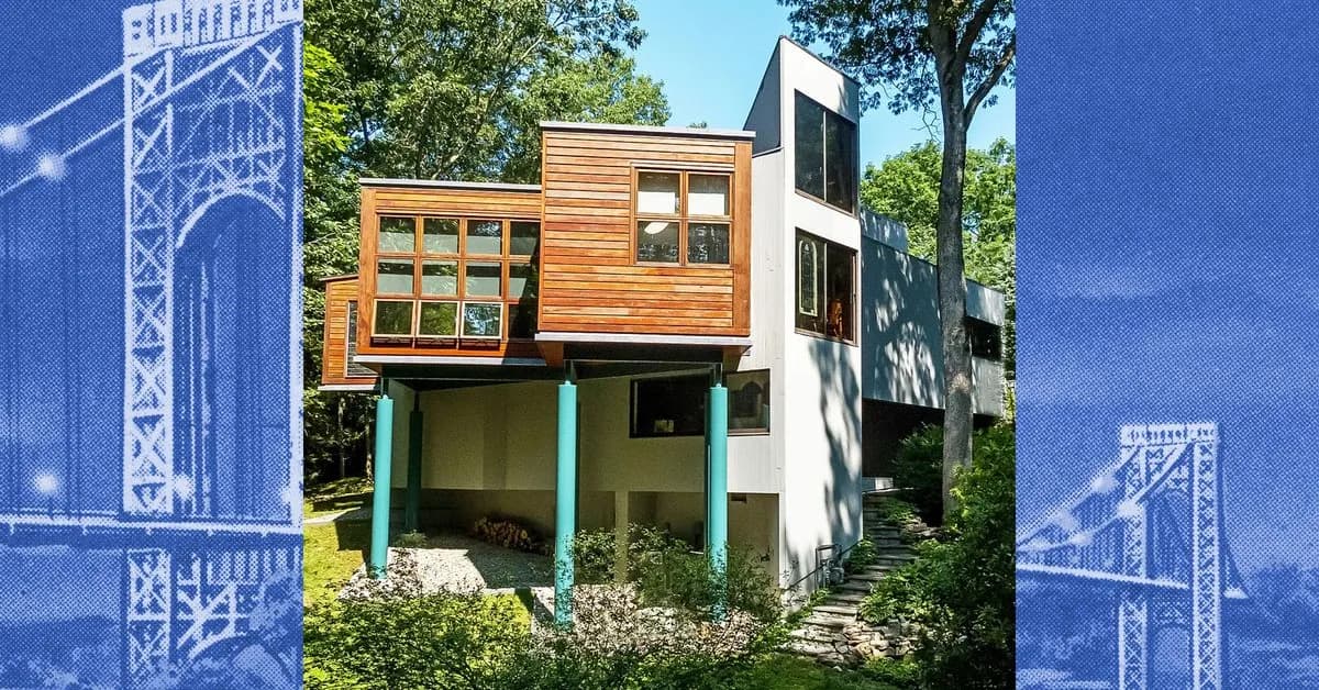 A Modernist House in Weston With a 'Puppy Spa'