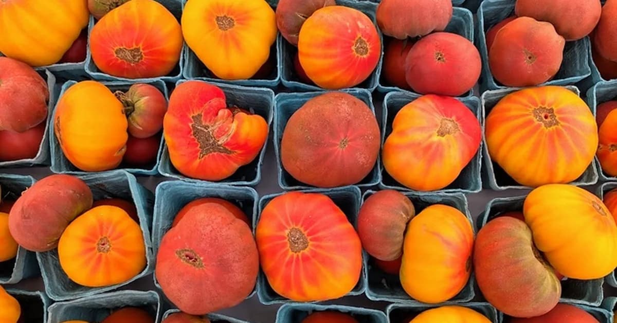 Come to Cuyahoga Valley Farmers Market for Its Tomato Tasting Festival