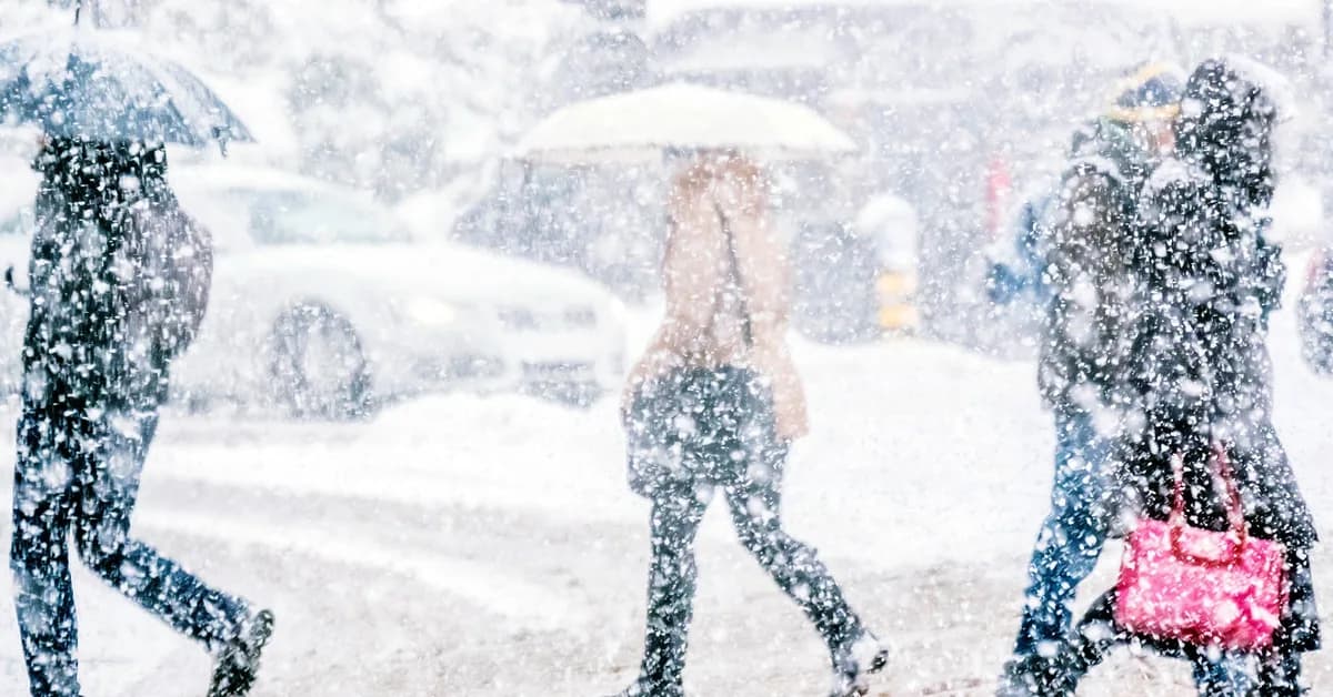 Homeowners Hunker Down as Historic Bombogenesis Buries North East: Record Snow Totals Across the Map