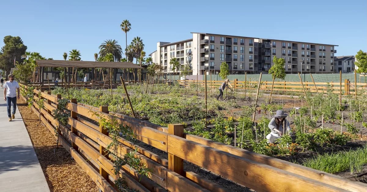 How the humble hornwort could supercharge agriculture
