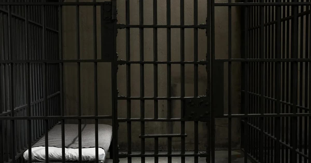 Law Professor Arrested On Over 50 Counts In CSAM Case ' See Also