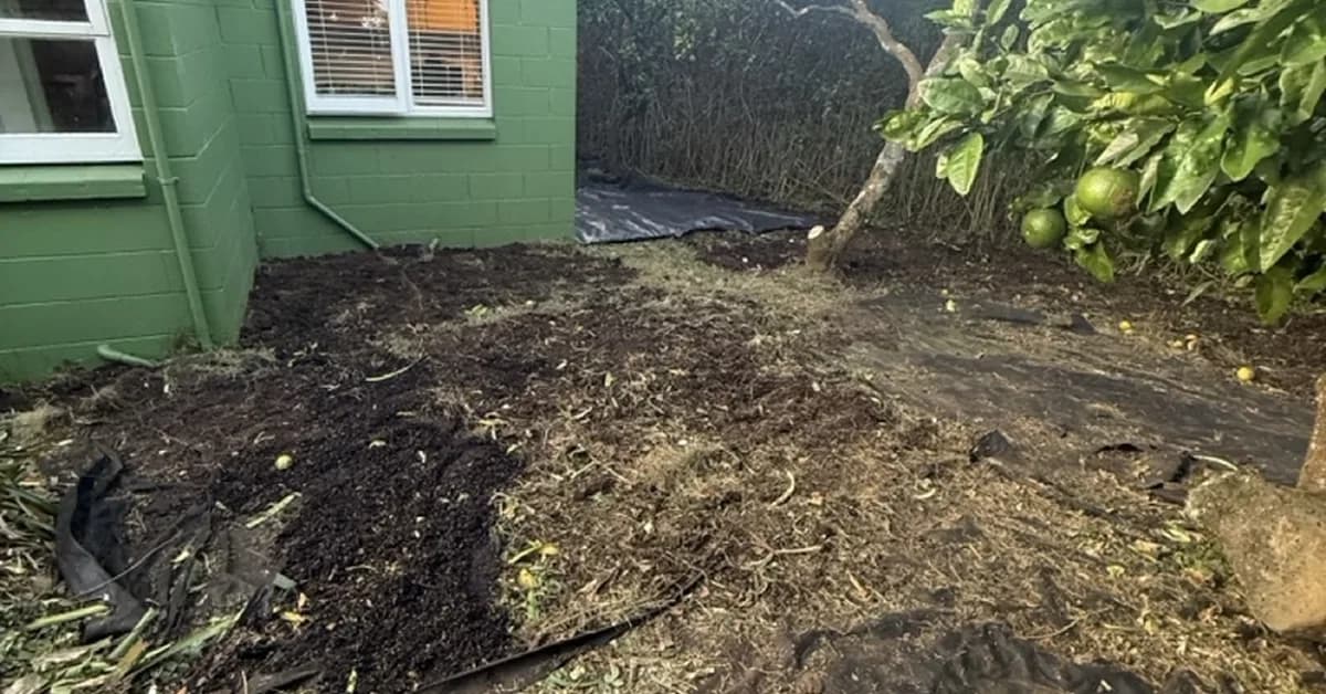 How I Stopped Despairing Over the Backyard Mess and Started an AI Side Project