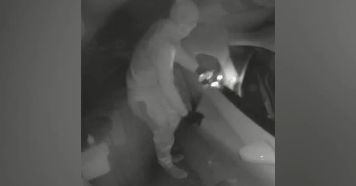 Victoria Police recover $1 million worth of stolen cars in crackdown on cloned number plates
