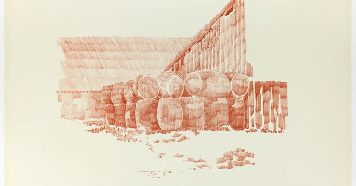 Auction.com names Ali Haralson co-CEO alongside Jason Allnutt