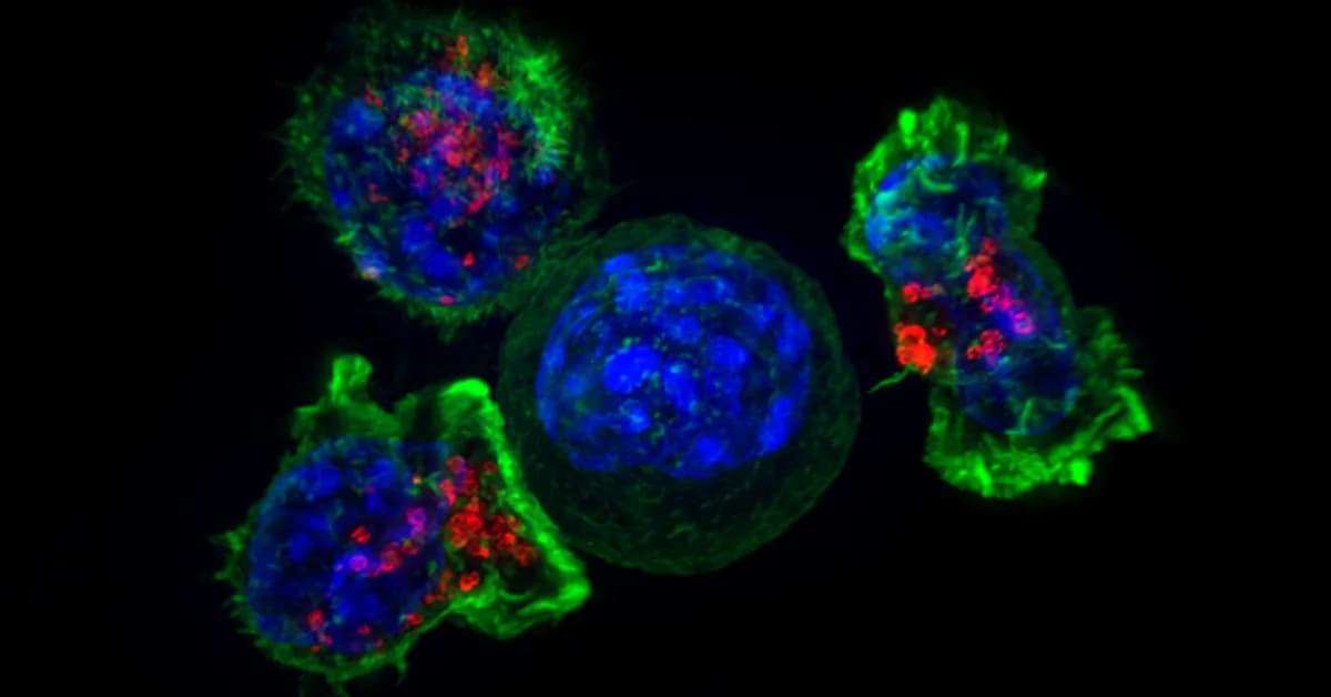 Q&A: Advancing cancer biotech therapies with a multipronged approach