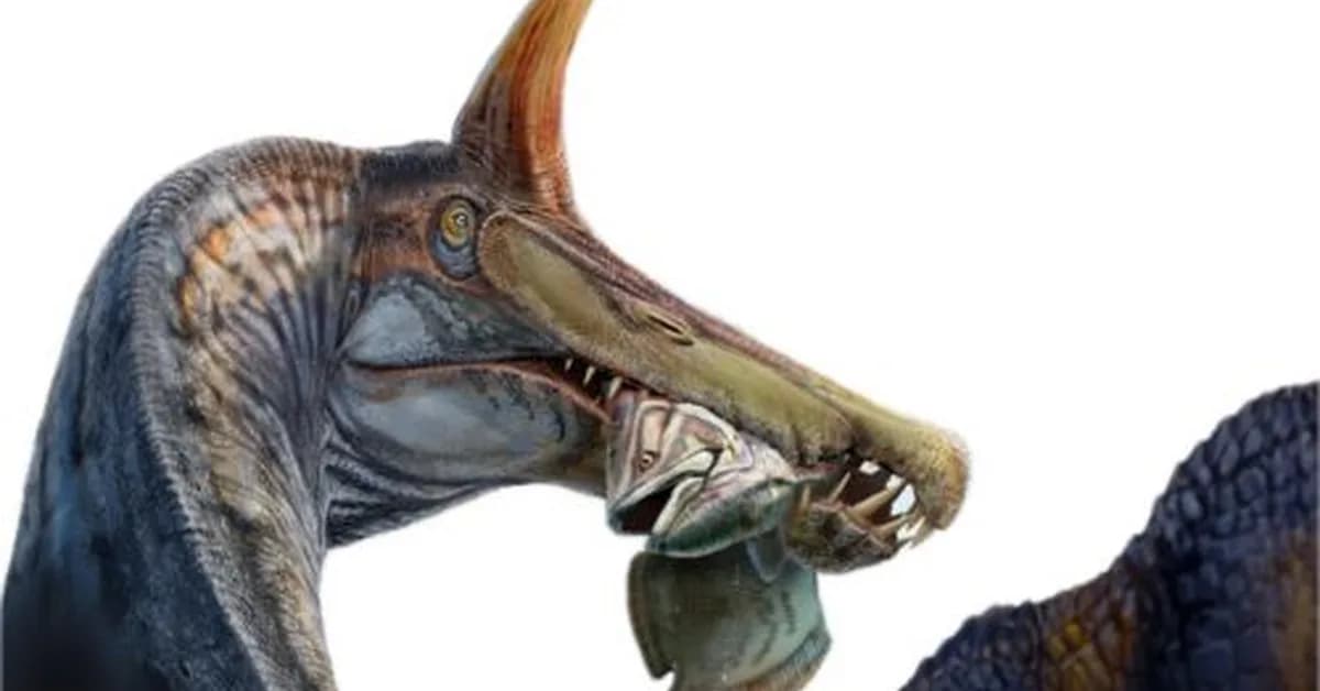 A unicorn-like Spinosaurus found in the Sahara