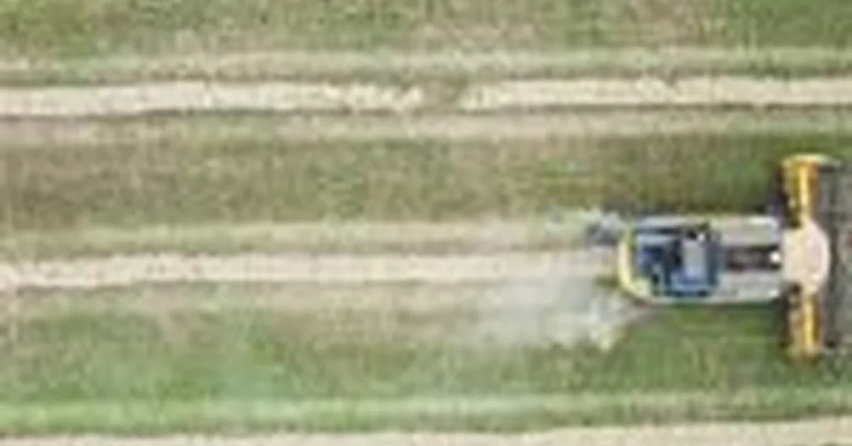 Innovation Saskatchewan renews AgTech Accelerator funding with $300,000 investment