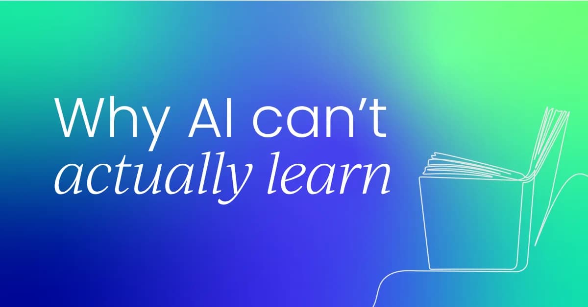 AI doesn't actually learn. Here's the problem