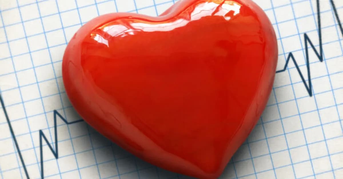 Heart's beat may help it beat cancer, mouse research suggests
