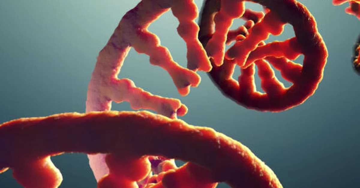 Do you take after your dad's RNA?